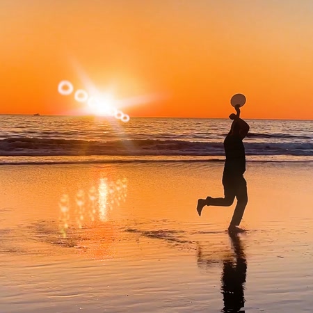 Stellar Mammals Frisbee Flow State single art